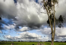 竞彩足球比分直播怎么看？实时比分对购彩有啥帮助？